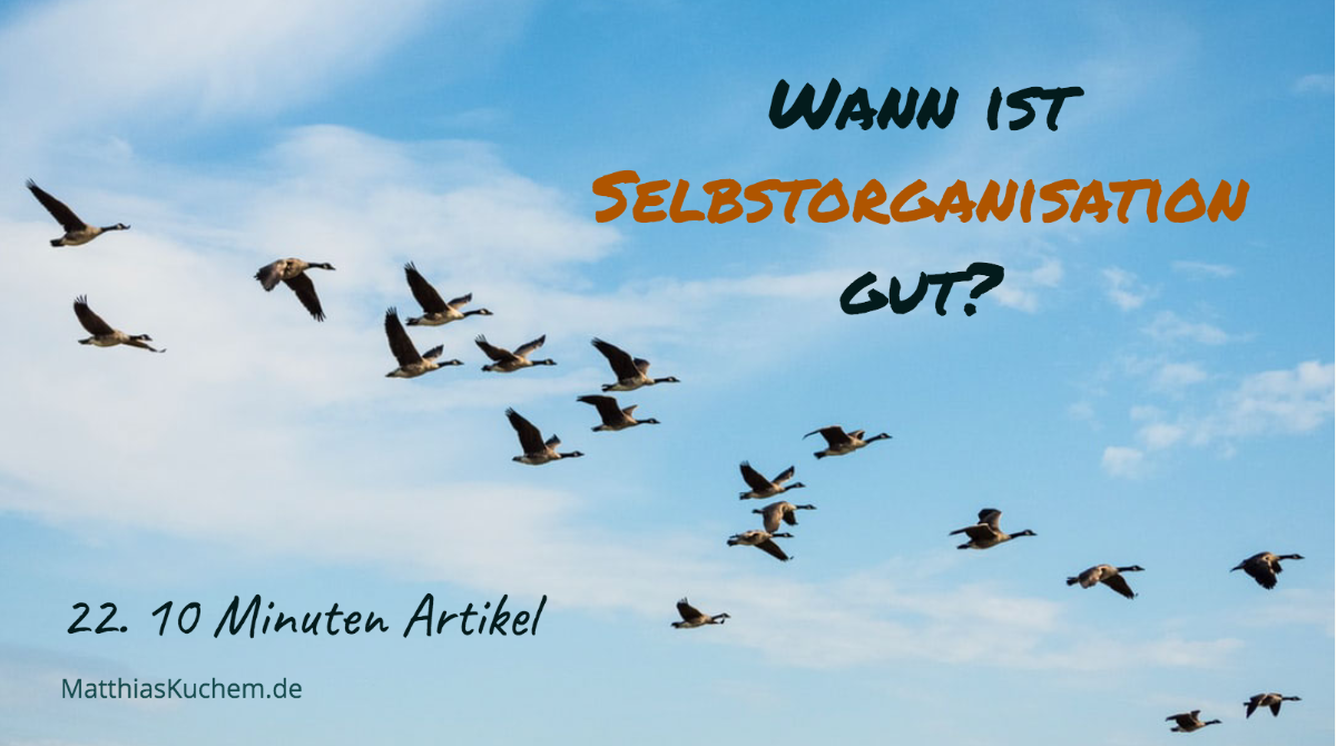 Wann ist Selbstorganisation gut?